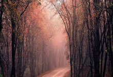 关于奥兰多魔术内部会议纪要流出——今夜刷新队史纪录，NBA季后赛使命明确，高层口径保持一致的信息-im电竞中国官网